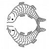 Buddha fish