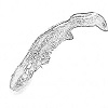 Hellbender