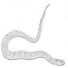 Water snake