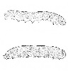 Cutworms