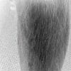 Leg hair