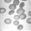 Red blodd cells