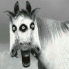 Strange horse