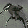 Strange bird