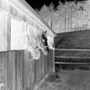 Stable