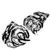 Tiger's claw
