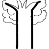 Tung tree tip