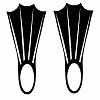 Swimfins