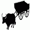 Oxcart