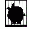 Pig cage