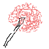 Swabs