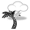 A thunder strikes a coconut tree