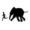 Chased by an elephant
