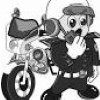 Traffic Police