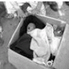 Abandoned baby