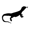Lizard