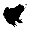 Toad