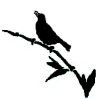 Bamboo Bird
