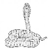 Cobra