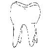 Tooth
