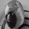 Strange egg