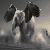 Strange elephant
