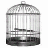 Birdcage