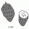 Soursop