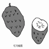 Soursop