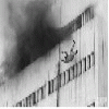 Fall down from high-rise building
