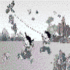 Flying kite