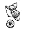 Gold ingot