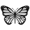 butterfly